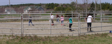 scavanger hunt in the round pen